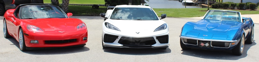PICC RedWhiteBlue Vettes
